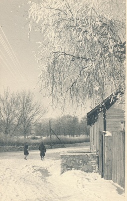 Rakvere, Vabriku t  duplicate photo