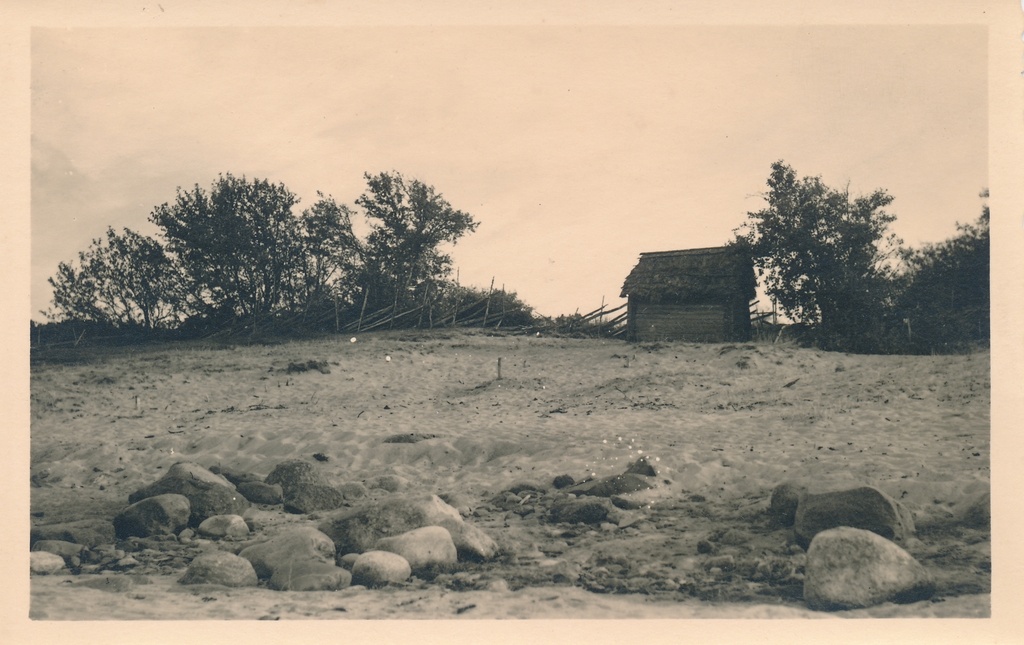 Rutja