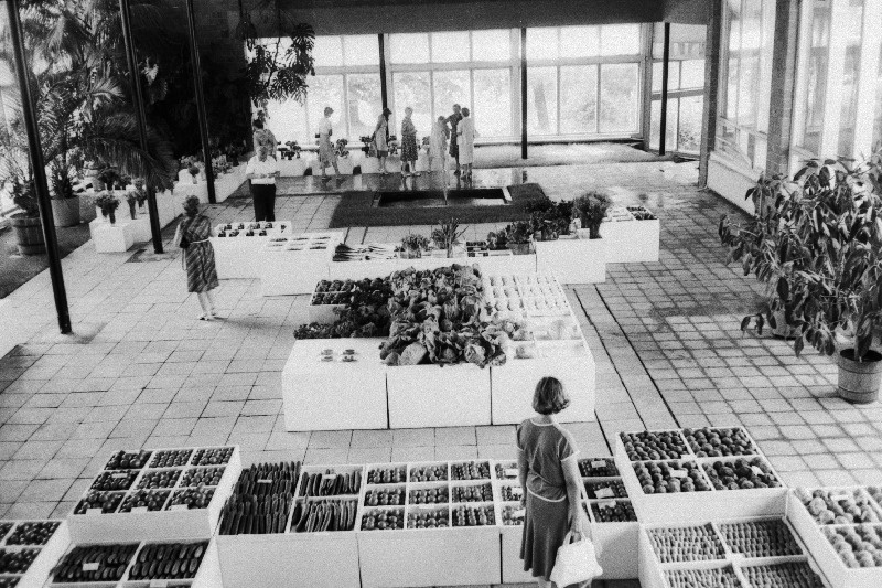 Näituse "Aiandus ja toitlusprogramm" Lillepaviljonis.