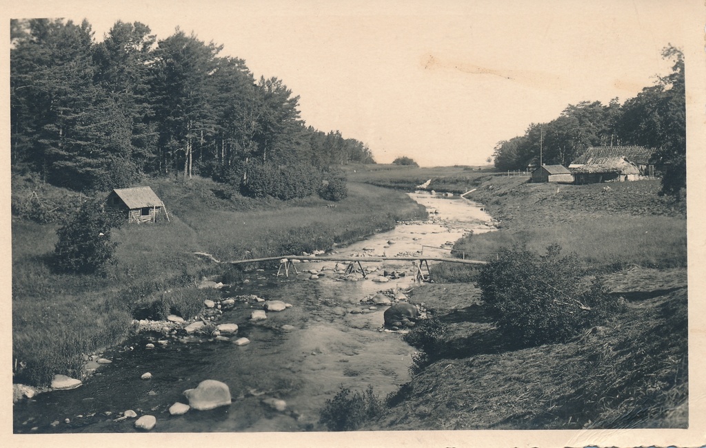 Rutja