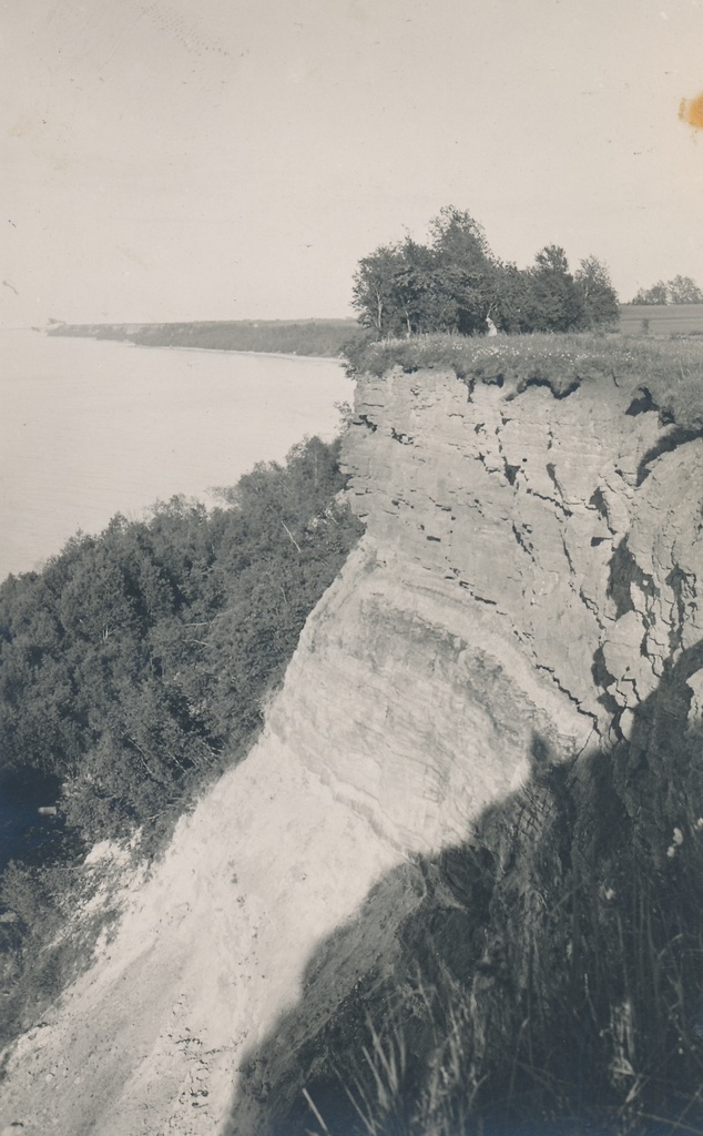 Toila