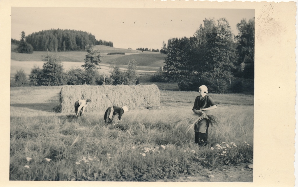 Võrumaa maastik