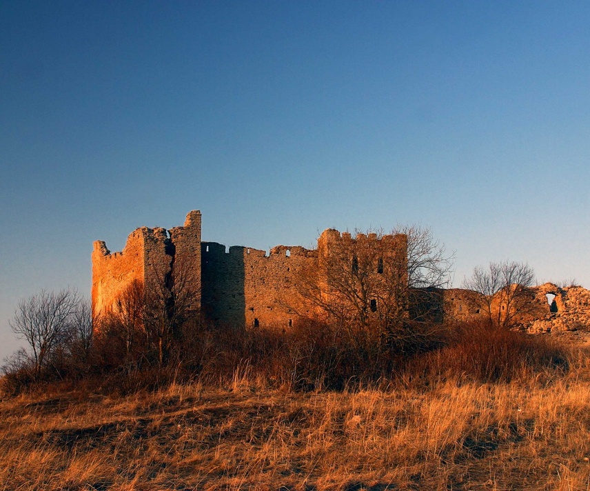 Toolse linnuse varemed rephoto