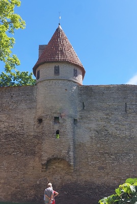 Tallitorn, vaade koos linnamüüriga rephoto