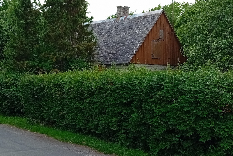 Karl Lõhmuse sepikoda Kõver  4 rephoto