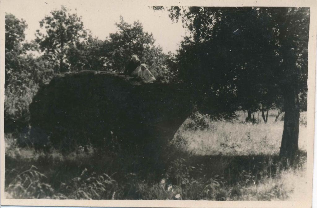 Foto rahnu, suure kiv juures