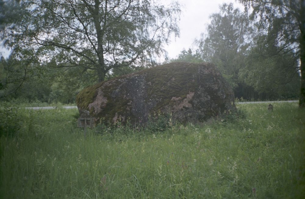 Kükita rändrahn Tallinn – Pärnu maantee ääres