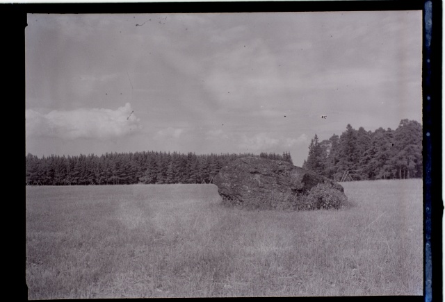 Rändrahn põllul