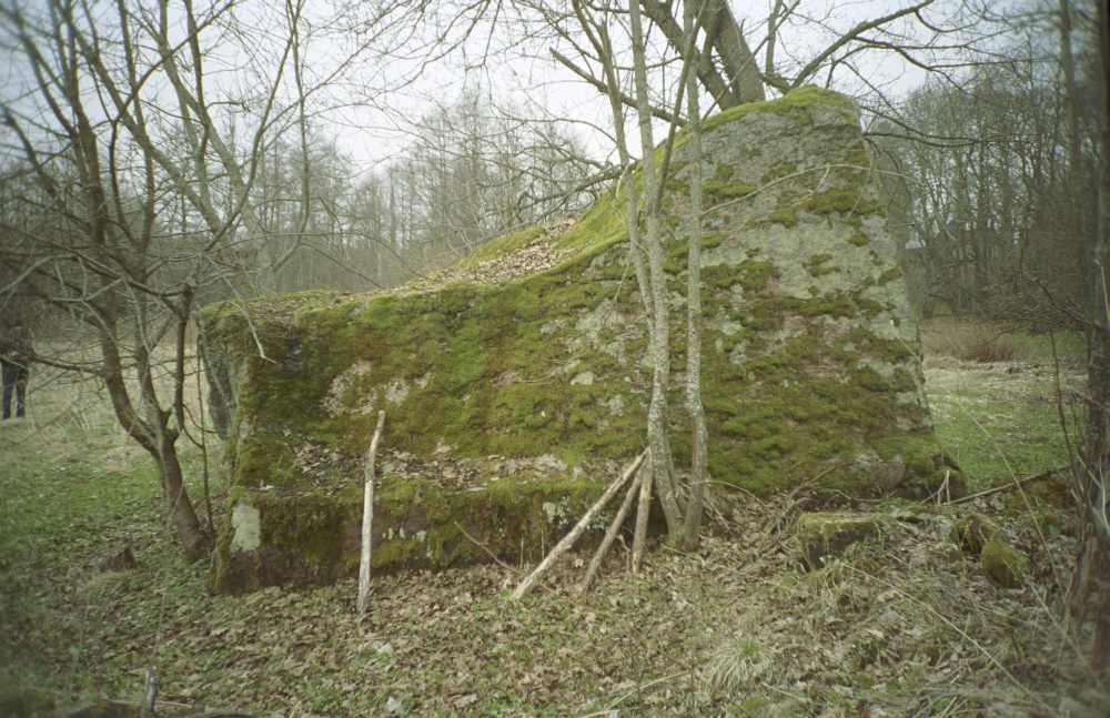 Migrantrahn in Manniva village