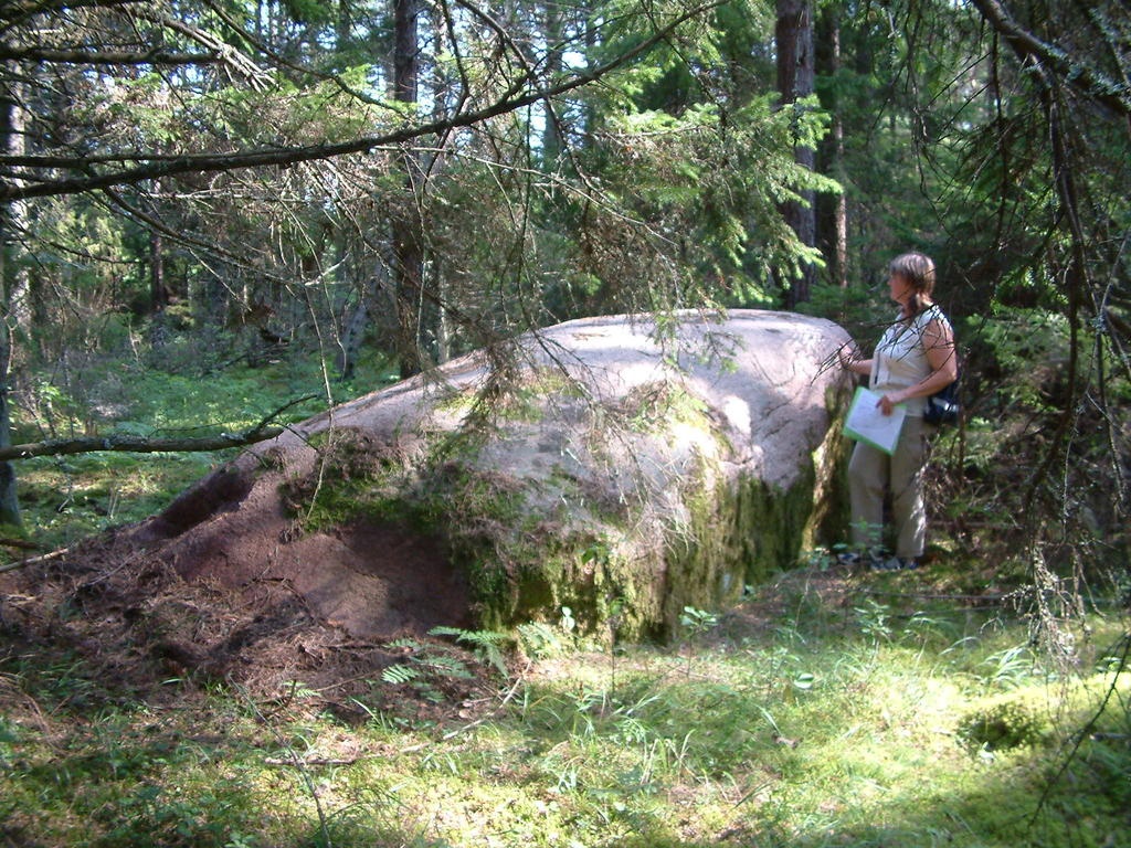 Rändrahn Avari metsas (Undva küla)