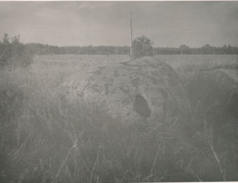 Photo. Stone with the "Sprint of Kalevipoy" at Ridala School. (ridala k/n, Haapsalu raj.) (sacrifice). 1964. Photographer. R. Kalk.