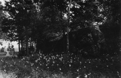 Flower stone  duplicate photo