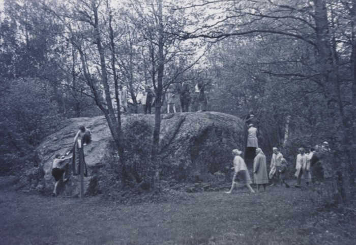 Photo Flower Stone 1966