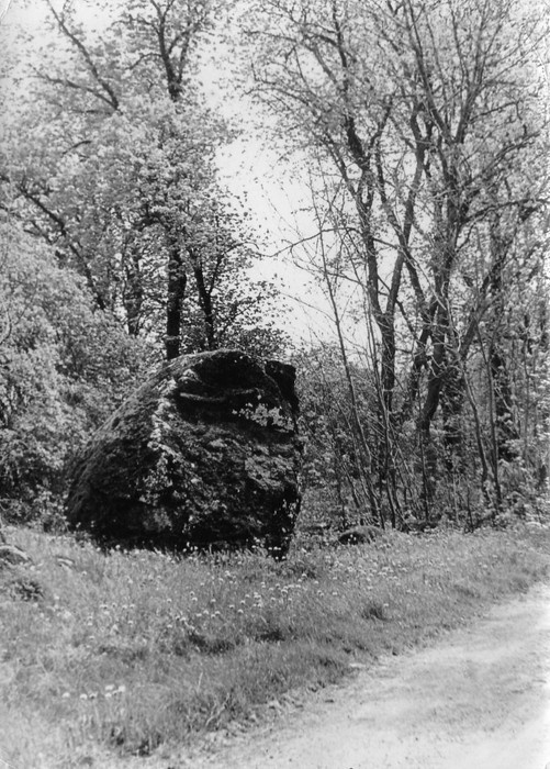 Old-fashioned stone in Suuremõisa