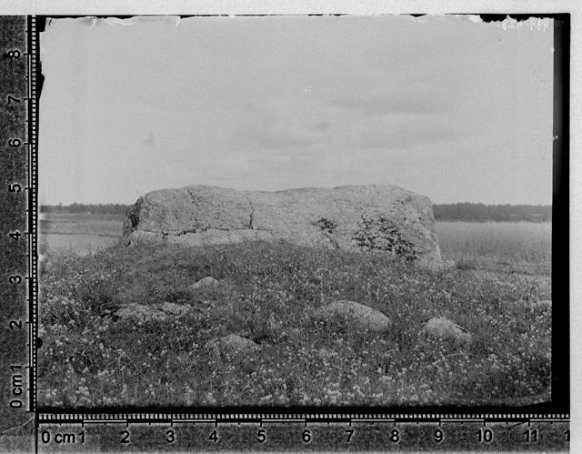 Big stone Saunja Tõnu field in 1920