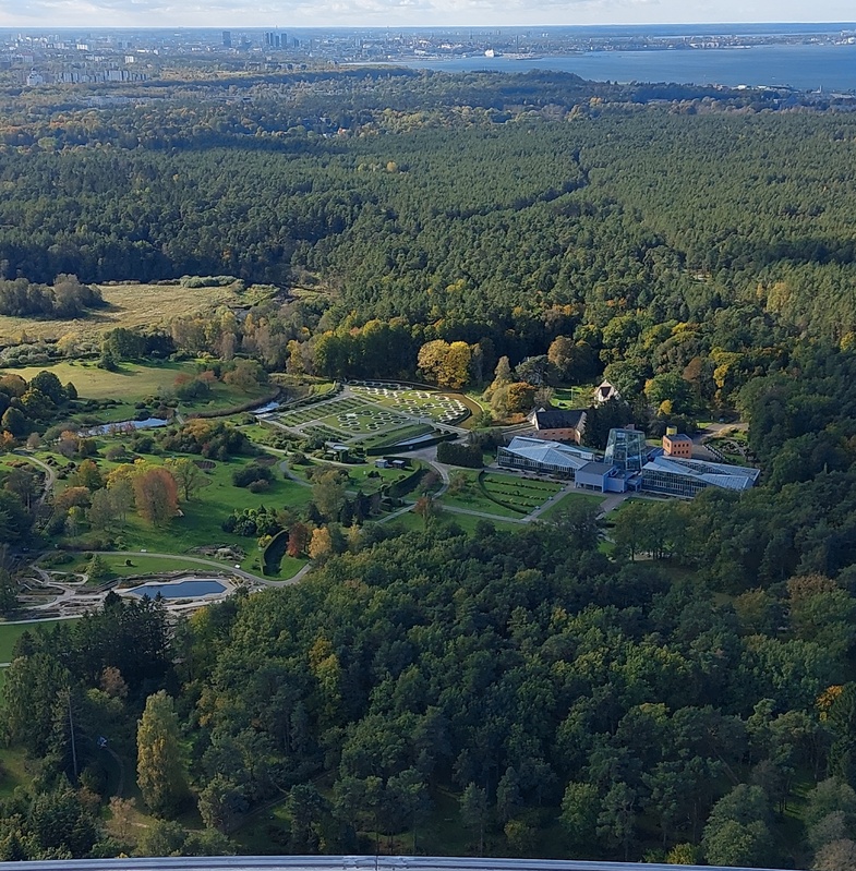 Tallinna Botaanikaaia palmimaja, foto seeriast "Seen", vaade teletornist. Arhitektid Vilen Künnapu, Ain Padrik, Arne Maasik rephoto