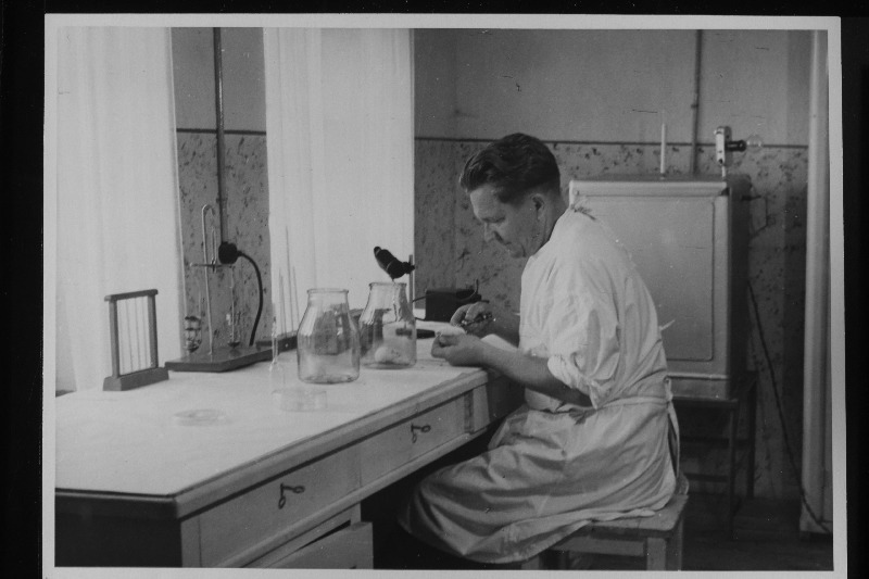 Sõmerpalu sovhoosi veterinaararst Richard Lumi laboratooriumis.