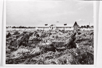 Saida sovhoosi uudismaa.  duplicate photo