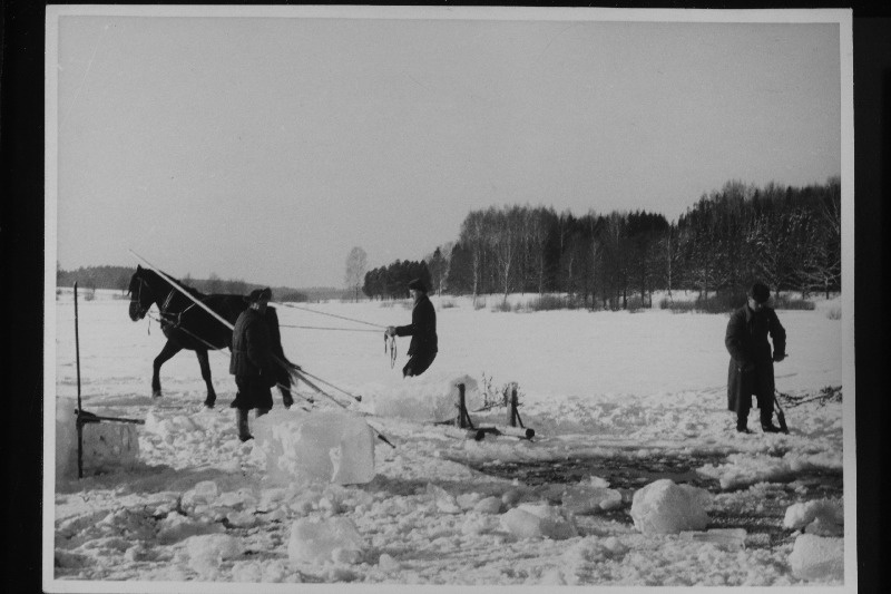 Jäälõikamine Emajõel Mooste sovhoosi piirkonnas.