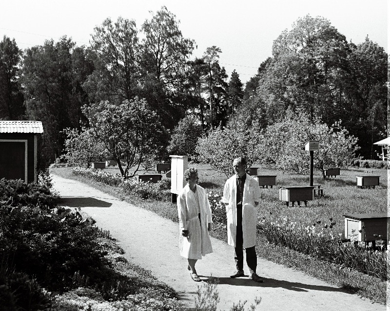 Viljandi rajooni Polli katsebaasi mesila.