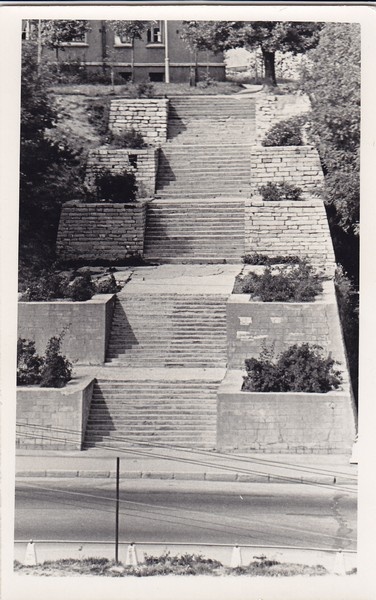 Vaade linna trepile (A. Hahni trepp)
