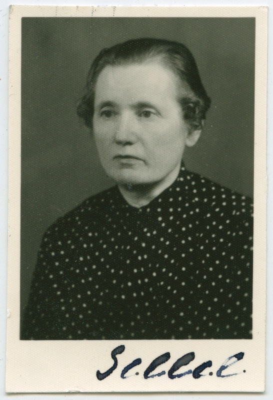 Aliide Niländer. Passitaotluse foto