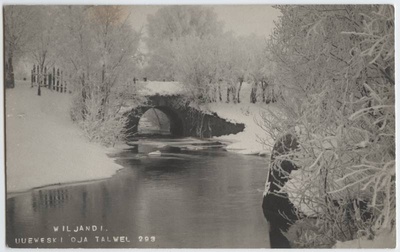 fotopostkaart, Viljandi, Uueveski oja, sild, talv, u 1920, foto J. Riet  duplicate photo