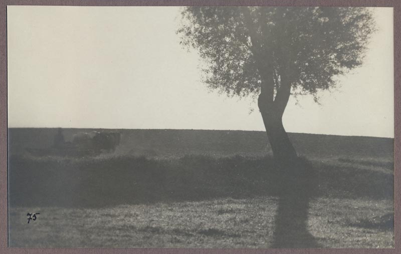 foto albumis, Viljandi, põld, heinamaa, Uueveski?, u 1920, foto J. Riet