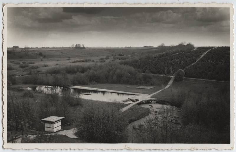 fotopostkaart, Viljandi, Uueveski org, lastebassein, männik, u 1938