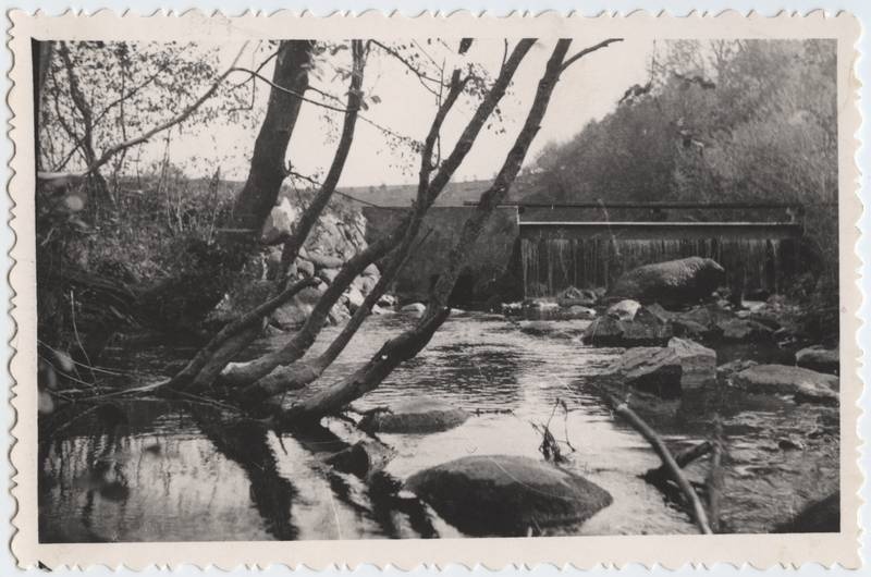 fotopostkaart, Viljandi, Uueveski org, oja, u 1965?