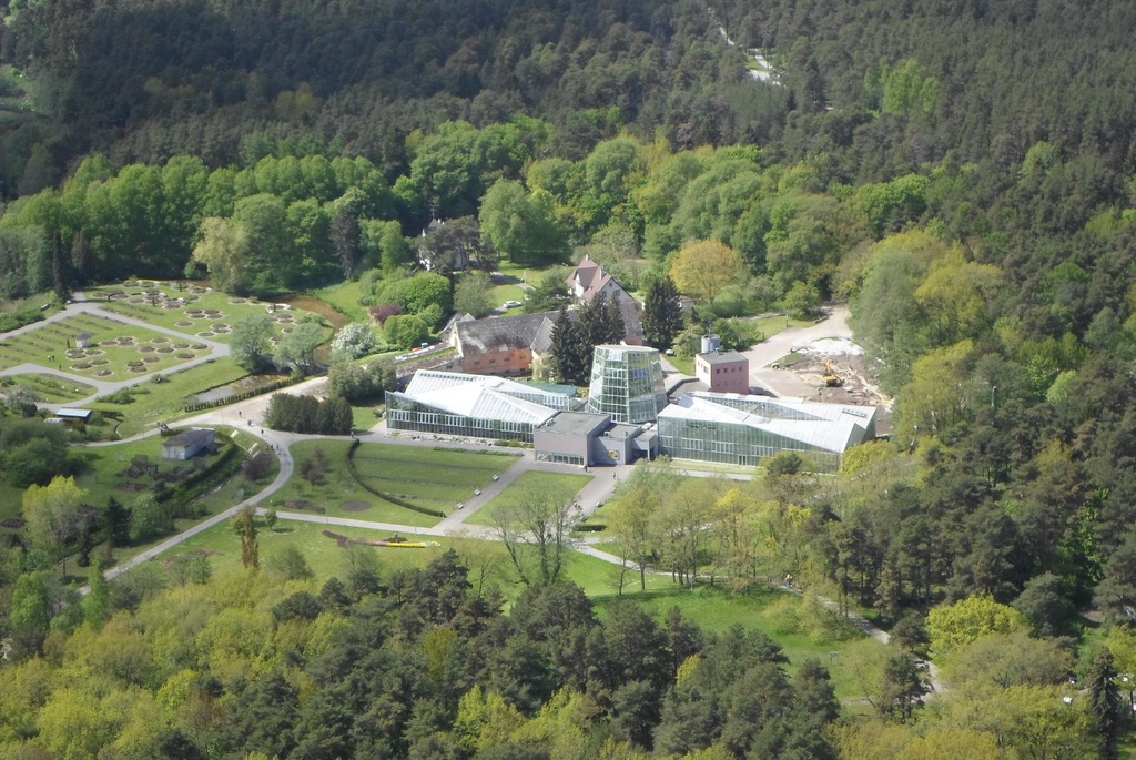 View of the TV Tower rephoto