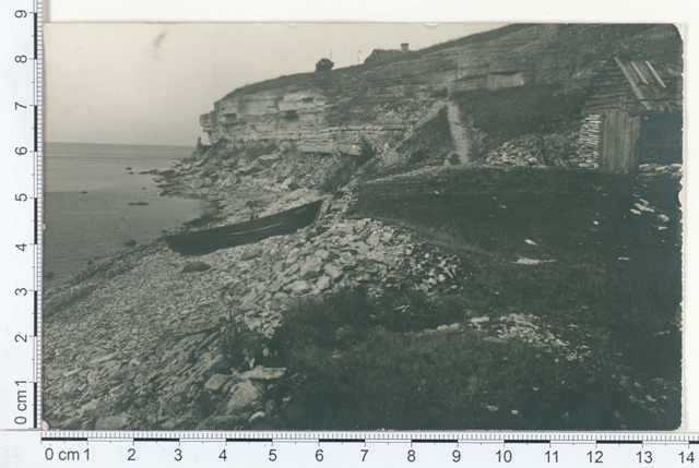 White (Paldic), rand