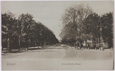 Postkaart Andrus Ansipi kogust  duplicate photo