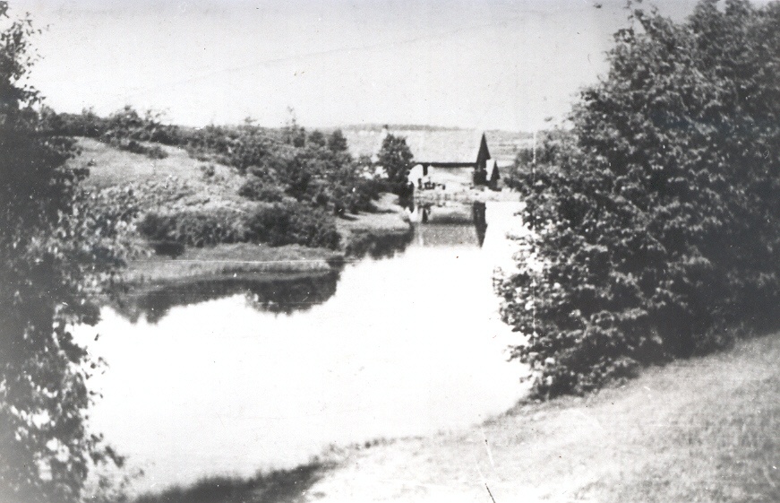 Foto. Illi - oru Veskijärv.