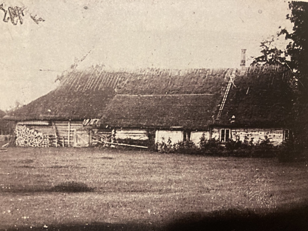 Mardi talu elurehi kopli poolt vaadates