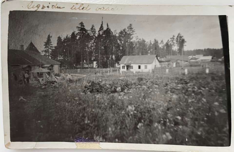 Aegviidu üldvaade