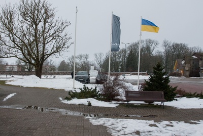 Hobune talli juures, (foto tellija Vana-Võidu Põllutöökool). rephoto