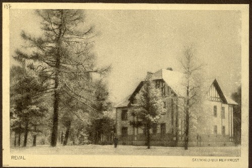 Seewald bei Reiffrost.