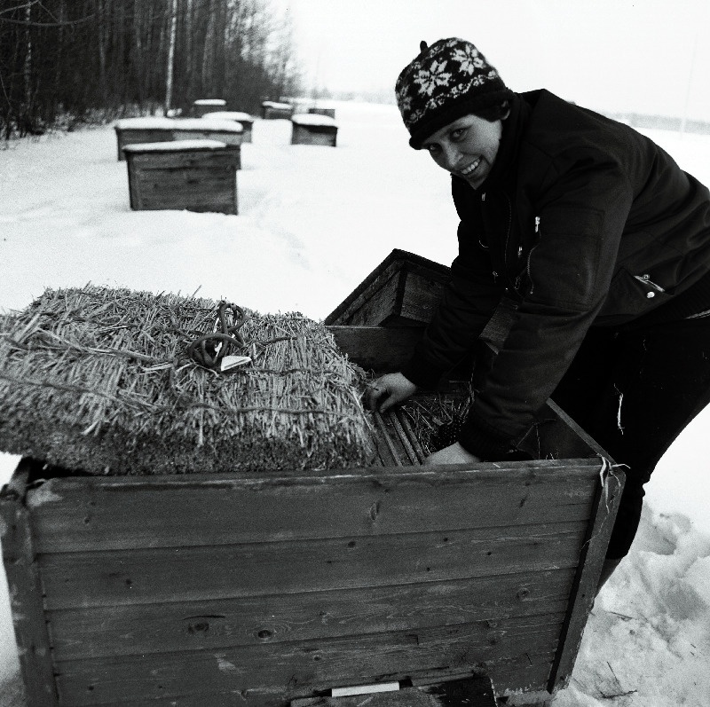 Pärnu rajooni Surju sovhoosi mesinik Eha Pärn.