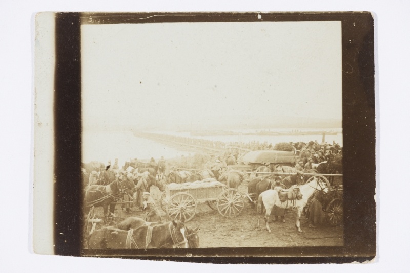 Hobused, esiplaanil vanker