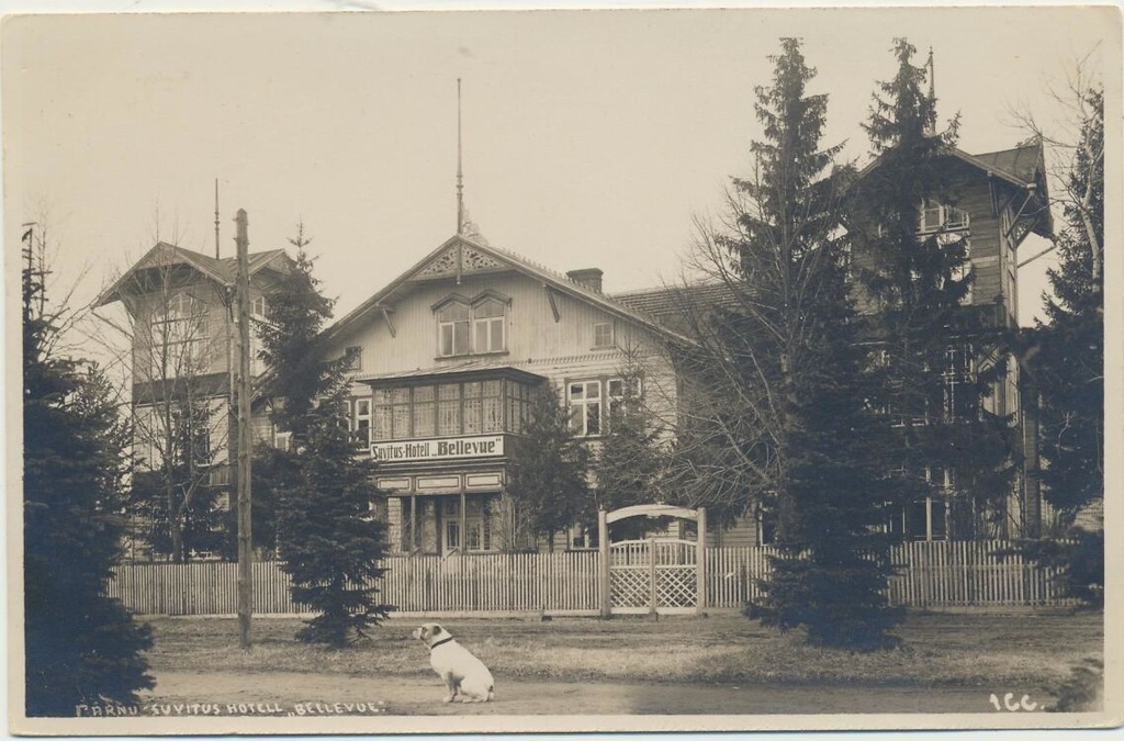 Pärnu, Tammsaare pst 11