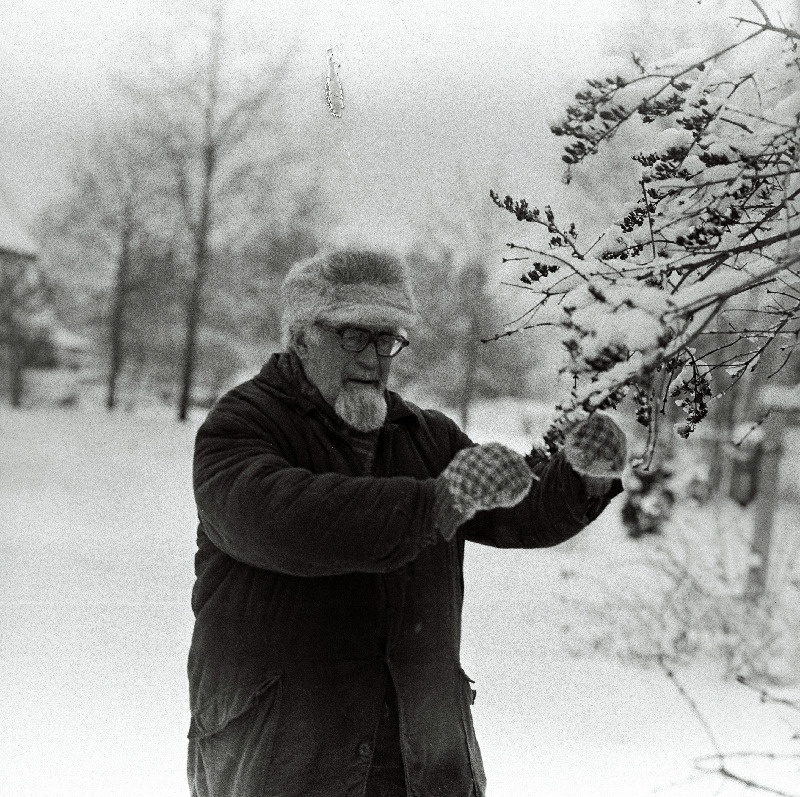 Ilmatark Vadim Želnin.