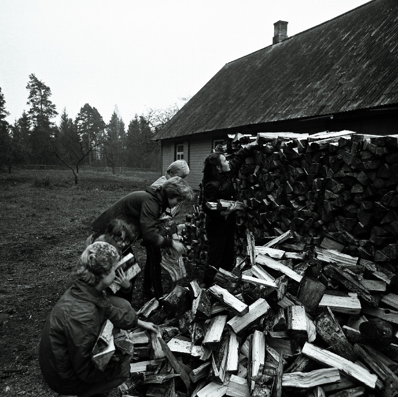 Puude ladumine talu õues.