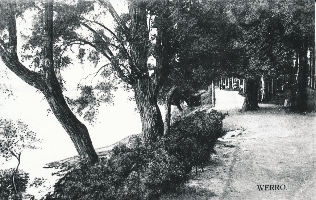 Foto. Võru. Vaade pargile järve poolt enne 1915.aastat. K.Kestneri foto.