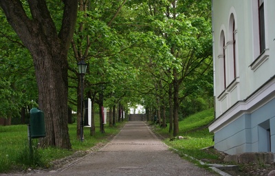 Postkaart Andrus Ansipi kogust rephoto