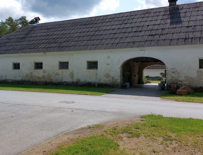 Padise Manor's cattle cattle rephoto
