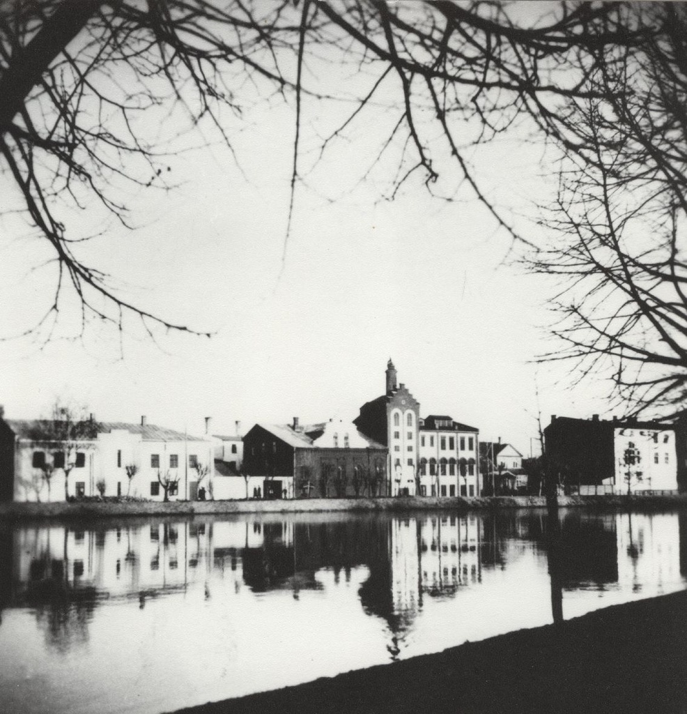 Emajõe vasakkallas. Kalda t, keskel Livonia õlletehas (torniga hoone). Tartu, 1938.