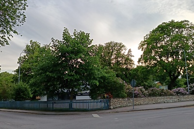 Hambapolikliinik  Uus 2 rephoto