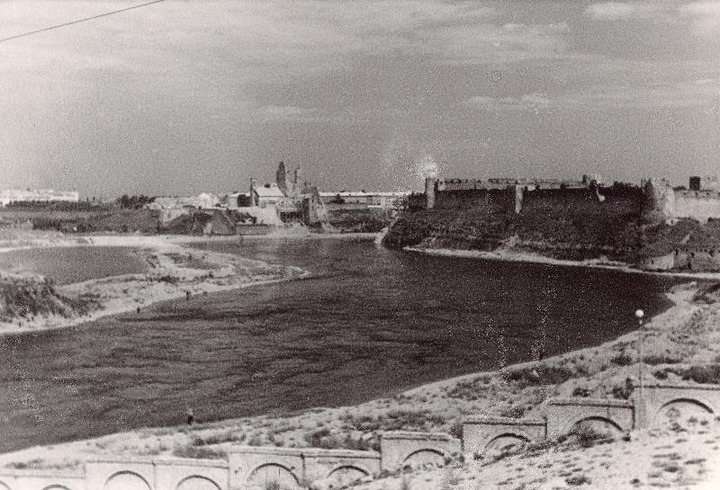 Vaade Narvale (keskel Hermanni kindluse varemed), Narva jõele ja Jaanilinna kindlusele.