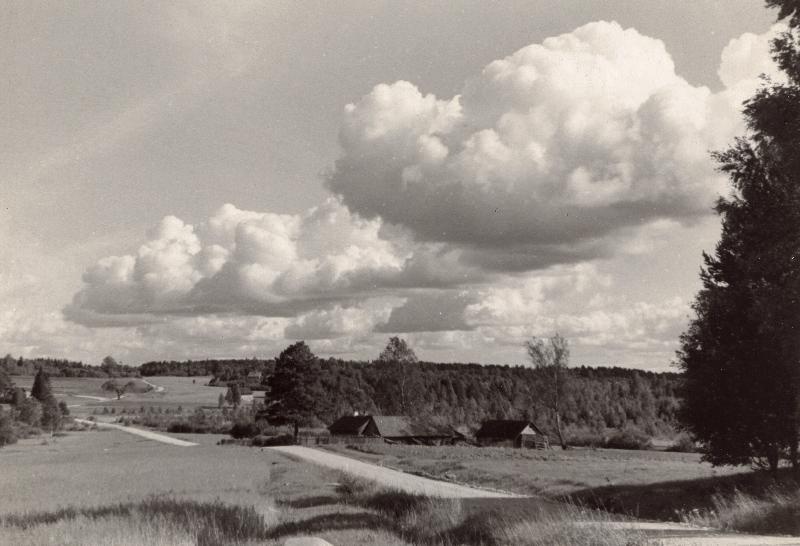 Paistu maastik, maantee Holstre suunas.